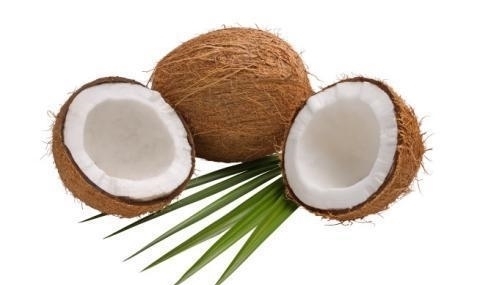 在国内是濒危保护植物, 但在越南却很常见, 味道超好5元一个!