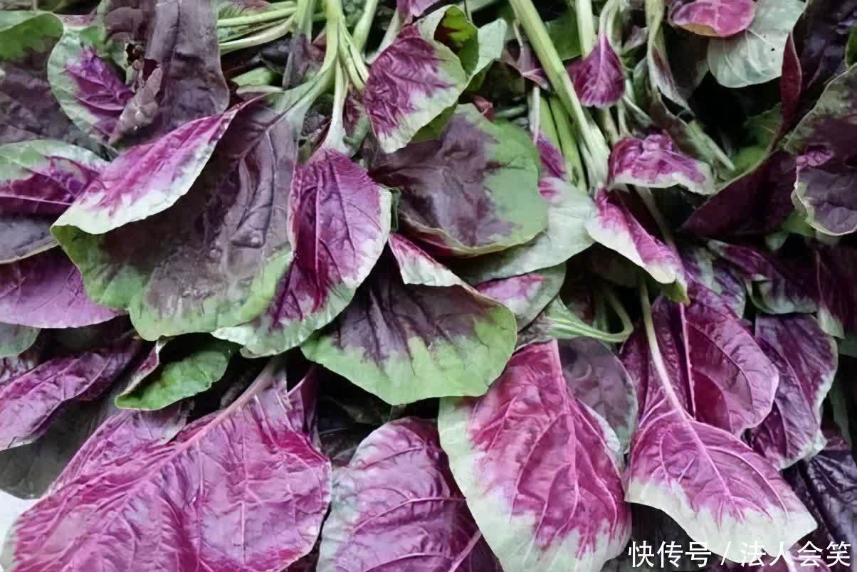 食物|夏季养生正当时,坚持吃三种食物,清热解毒,润肠排毒,越吃越瘦