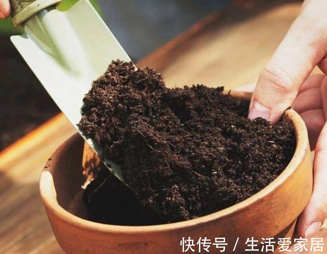 万能土|家庭养花,营养土不用买,自制花土,松软、肥沃,养什么花都旺