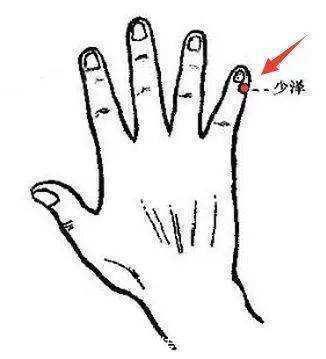 阳气|早晨捏六指尖,打开全天阳气一个中医人的养生探索