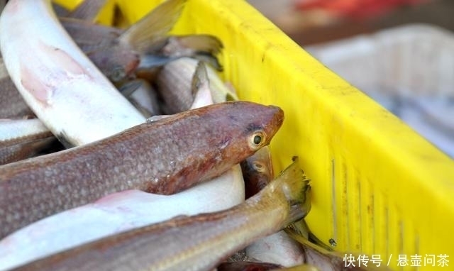 吃海鲜|吃本地海鲜最佳的地方,价格超级实惠品种多,几块钱一斤就能买到