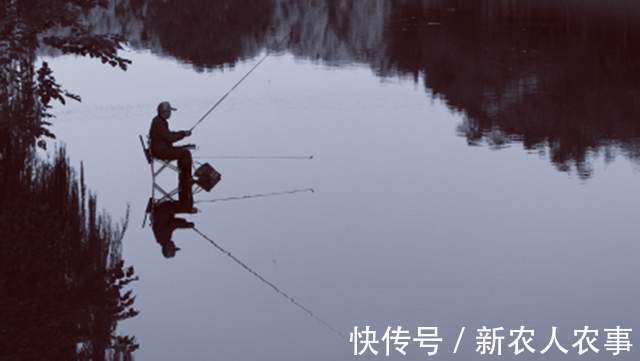 疯狂！男子钓鱼遇“空军”，直接扔掉鱼竿放大招，网友：长见识了