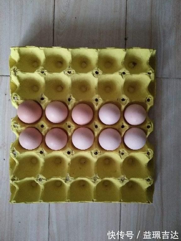 鸡蛋、鸭蛋、鹅蛋、鹌鹑蛋、鸽子蛋，这么多蛋，哪种最营养？