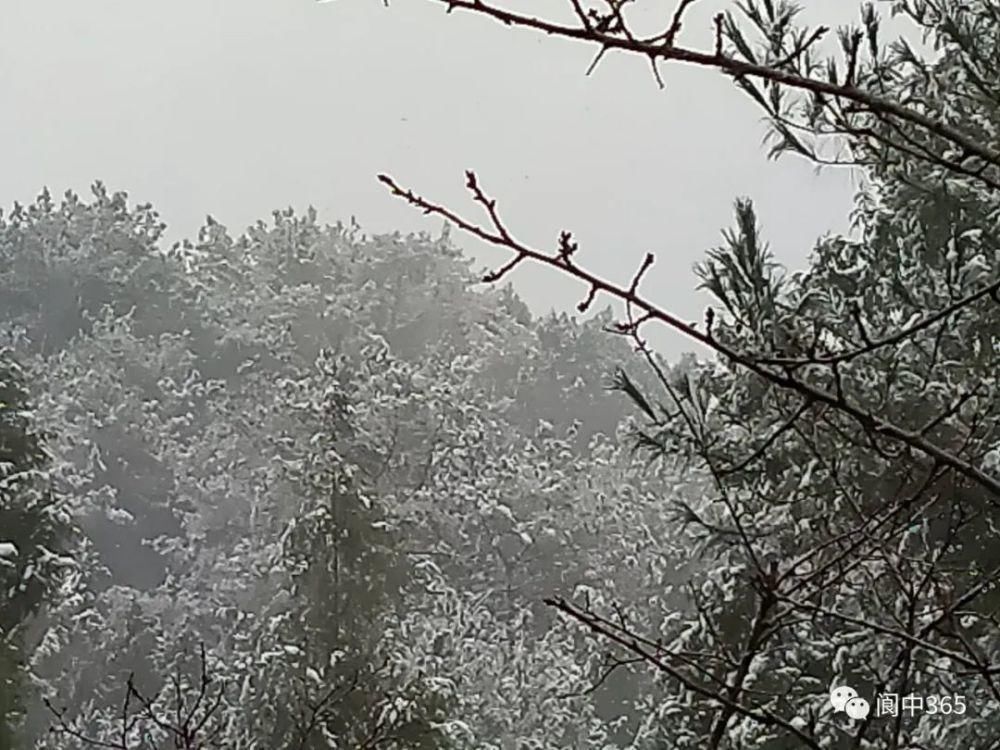 妙高镇金城山雪景图