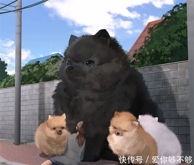 插画|三组各具特色的动物插画,看完很治愈~