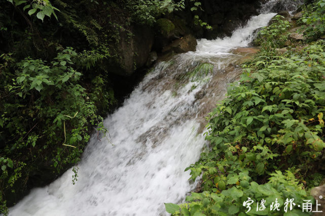 许家山村|宁波晚报丨奉化城区西南，有这样一座藏在公路尽头的小山村……