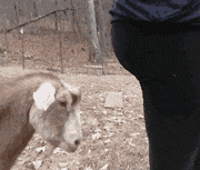 |搞笑GIF:日防夜防闺蜜难防