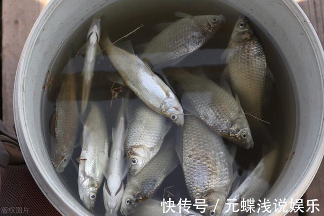 冬季如何钓鱼?“三阴”一旦出现!就是钓鱼的好机会