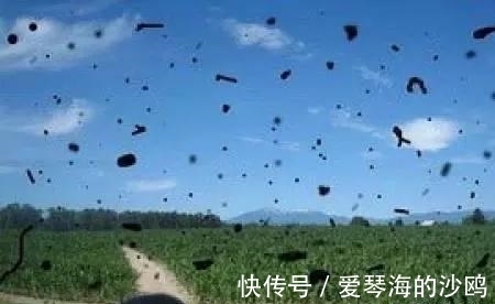 视力|10多年前，用激光治近视的那批人现在怎样了？知乎网友：后悔了