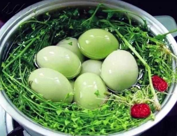 野草|农村有种野草,煮鸡蛋吃了治头晕,还是驱蚊虫好帮手,网友不错