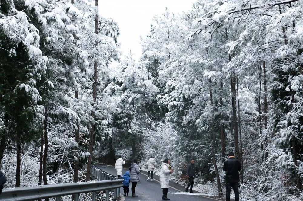 秘密|这个秘密只告诉你，刷爆朋友圈的广元雪景，都在这里了！