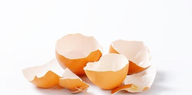  用来|鸡蛋壳不要随便丢，简单处理后用来养花，盆栽长得绿油油