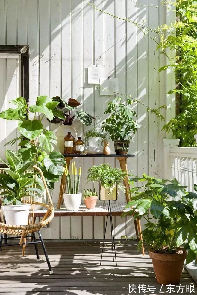 阳台上|造个好阳台,晒太阳