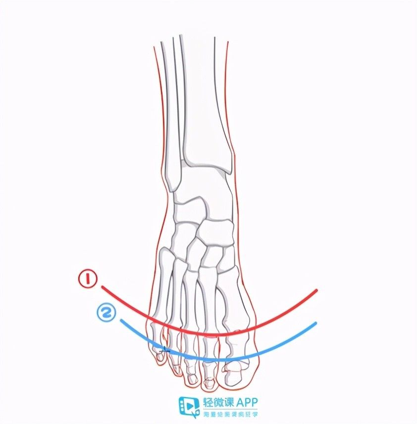  动漫插画人物脚部结|脚老是画不对？那是你不懂脚的结构该怎么画！