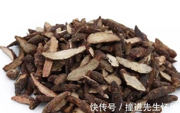 龙血树|中国最“无私”的树，它的“血”能治病，却因此被砍得只剩20棵