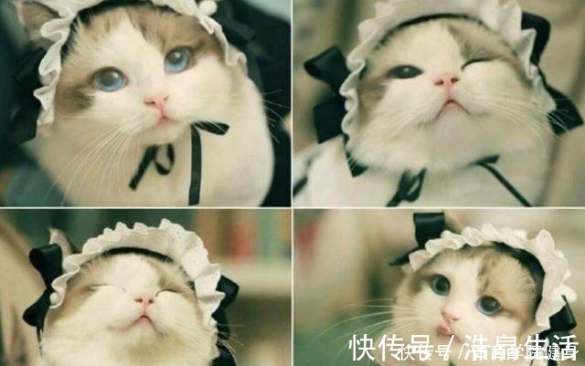 面部|动漫美少女画风猎奇,眼睛巨大没有鼻子,为了满足人类的“萌欲”