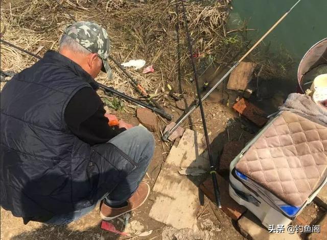 饵料|揭秘钓鱼骗局!别看它骗术低级,总有大把钓鱼人上当