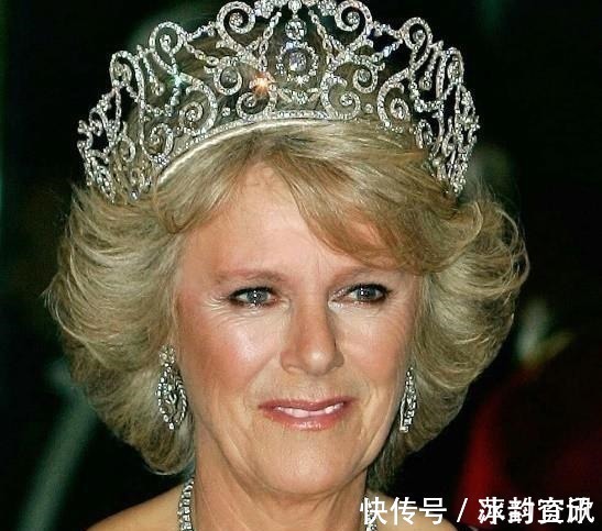 查尔斯 卡米拉的蛇形项链20年前做情人时查尔斯送的,蛇蝎气质一目了然