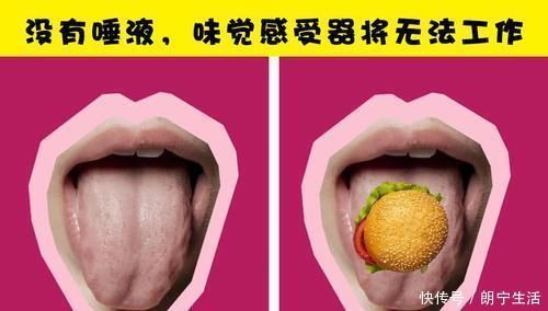 感受器 虽然很有趣,但并不是每个人都听说过的7个冷知识