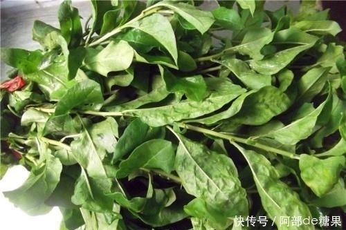 好事物|對人體極好的食物，男女不可忽略，補肝益腎，明目潤肺，越吃越好