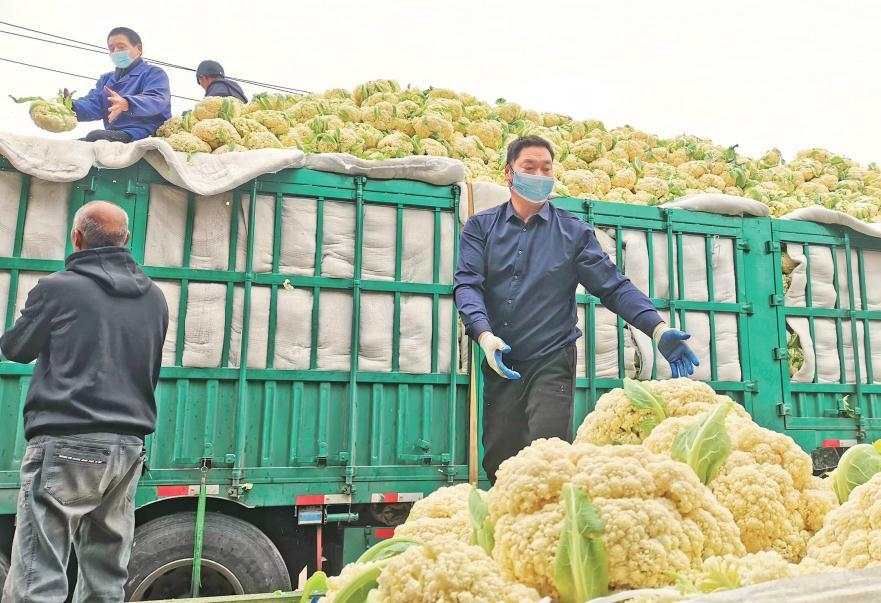 疫情|25吨花椰菜、20多万个口罩千里送“粮草”，乐清“爱”援西安