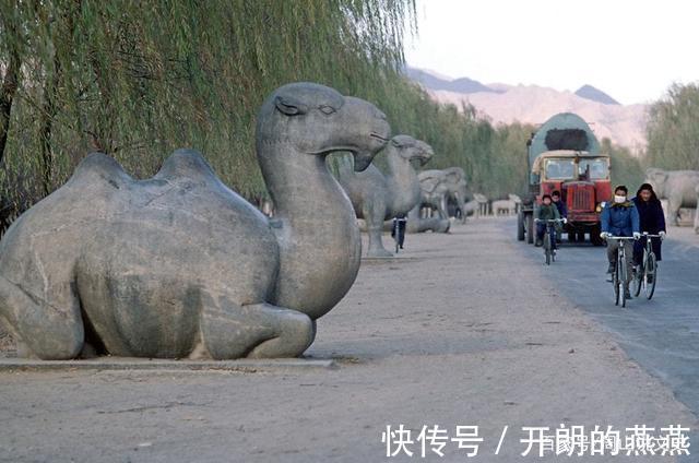 老照片|一组70年代老照片，大部分都没有见过