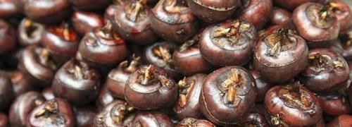 减肥|正在减肥的人,不要吃5种蔬菜,喜欢吃的赶紧戒掉吧