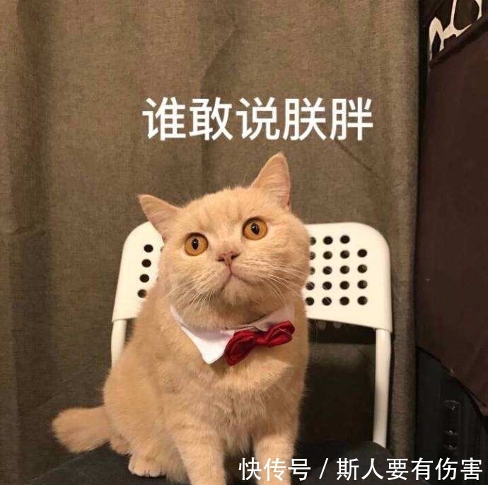 |十条笑话:不好意思亲到你了,不会怀孕吧!你加我微信!