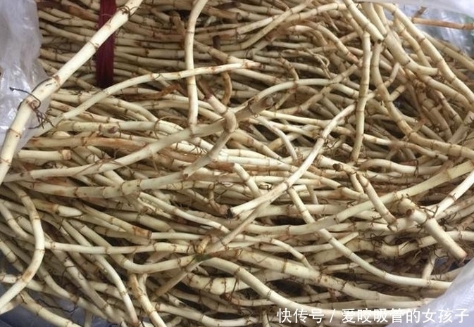 这种农作物1亩可产8000斤,亩产值高达3万元