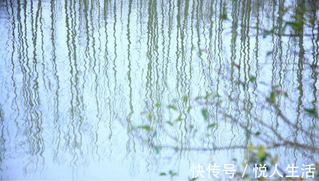 韩孟|韩愈很经典的一首诗,表现手法高超,写出了完全不一样的春色美景