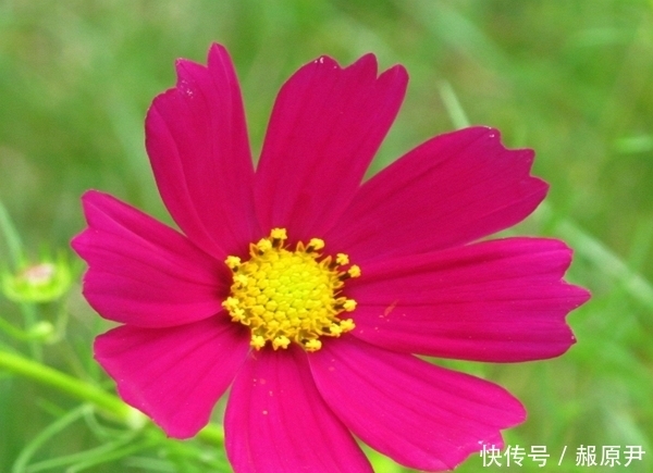 1998年5月属什么生肖