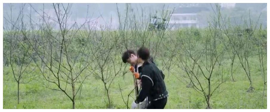 《向往的生活》第三期，意外发现全能宝藏嘉宾