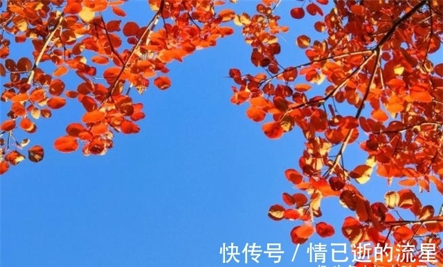 诗词!晚秋秋晴诗词五首赏读:秋水碧如玉,秋树红于花