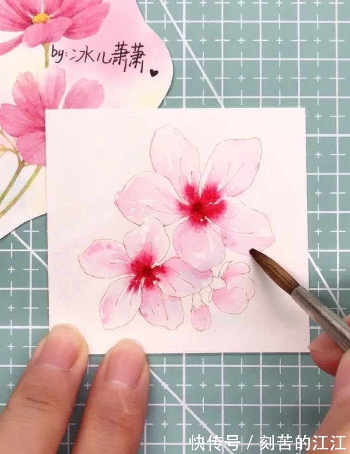花瓣@水彩这样画,也太美了吧!居然把花瓣画出透明的感觉,看完忍不住保存!