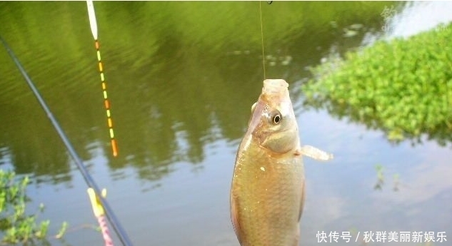 春天一到,鱼反而不好钓?按我说的这四点做,上鱼速度杠杠的。