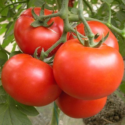 石榴|女性想要皮肤好，要坚持吃四种食物，淡化皱纹、滋润身体