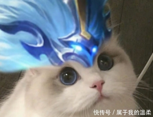 荣耀|王者荣耀:为什么有的英雄经常用,但是人气却一点也不高?