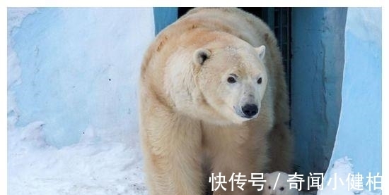 母乳|母乳不足是有原因的,哺乳期别做3事,做的越多,母乳越少