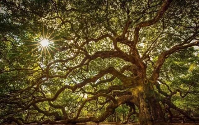 曾国藩:三个字,迈上人生新境界