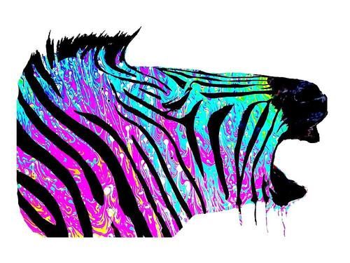 动物图腾：斑马，探索与回归，知晓一切的勇气