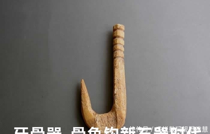 有倒刺鱼钩与无倒刺鱼钩之争,谁胜谁负