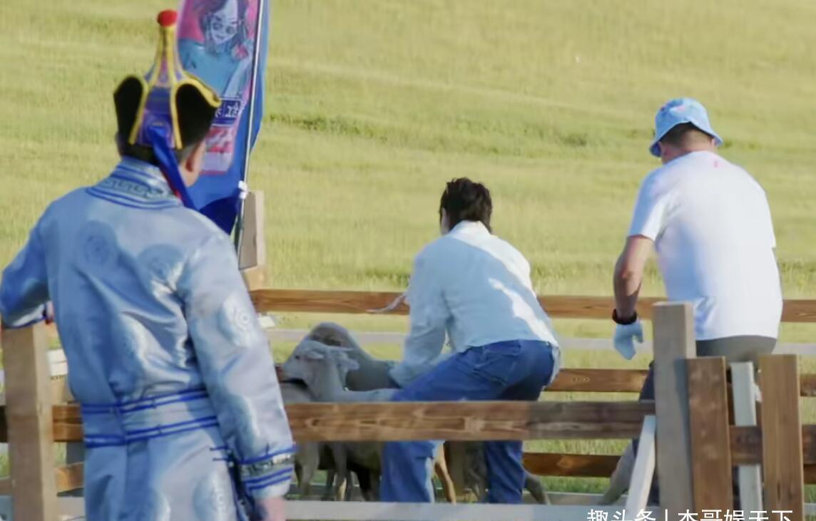 郭德纲|张鹤伦分高却输了,其实一是因为郭麒麟,二是团综有bug需要调整