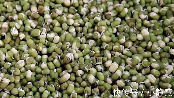 盖子|想吃绿豆芽别再买，教你在家生，一碗绿豆生一大盆，做法超简单