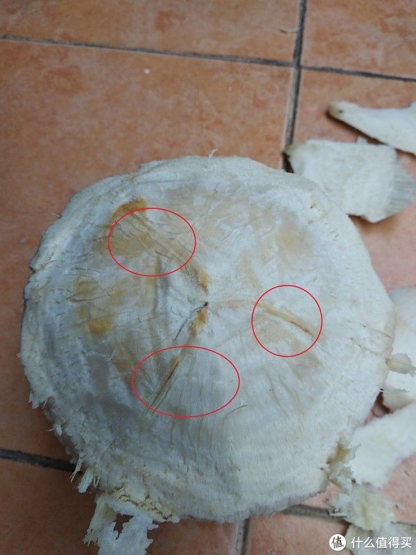 过年在家也能做的简单糖水炖品-椰子奶炖蛋