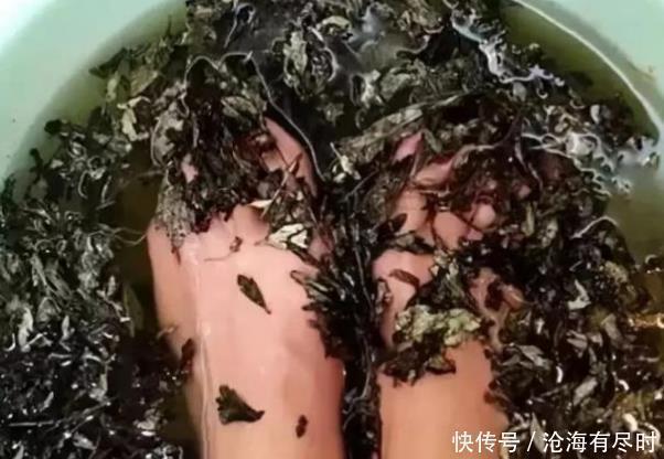 睡前先用艾叶泡脚,三天泡一次,时间长了3个“毛病”泡没了