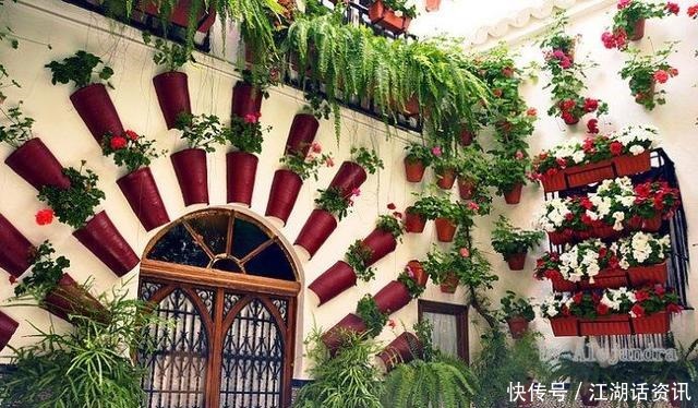 不一样的“庭院花园”，花草都上了墙