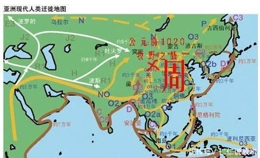 意料|日本人的祖先是谁？徐福蒙冤千年，DNA检测结果出乎日本人意料