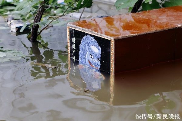 重灾区|12小时救出600人，上海救援队驰援重灾区新乡