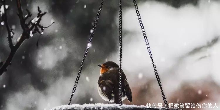 12句民间俗语，暗藏玄机，大有智慧