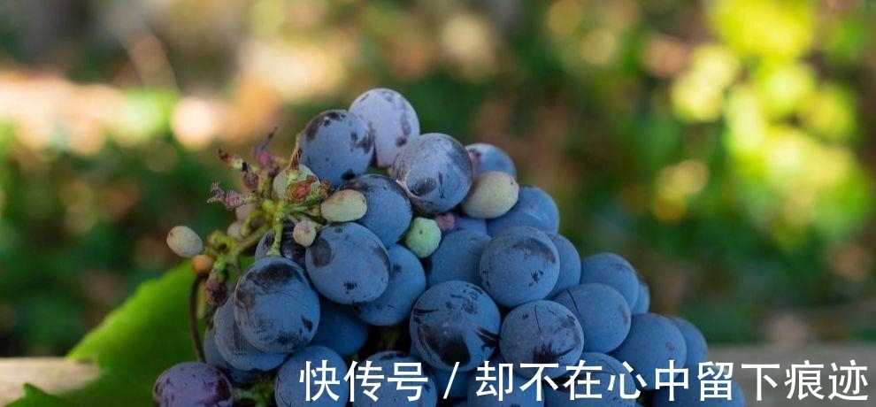 多辛|明日中伏,防暑降温有讲究,饮食少苦多辛加点酸,不懂规矩要吃亏